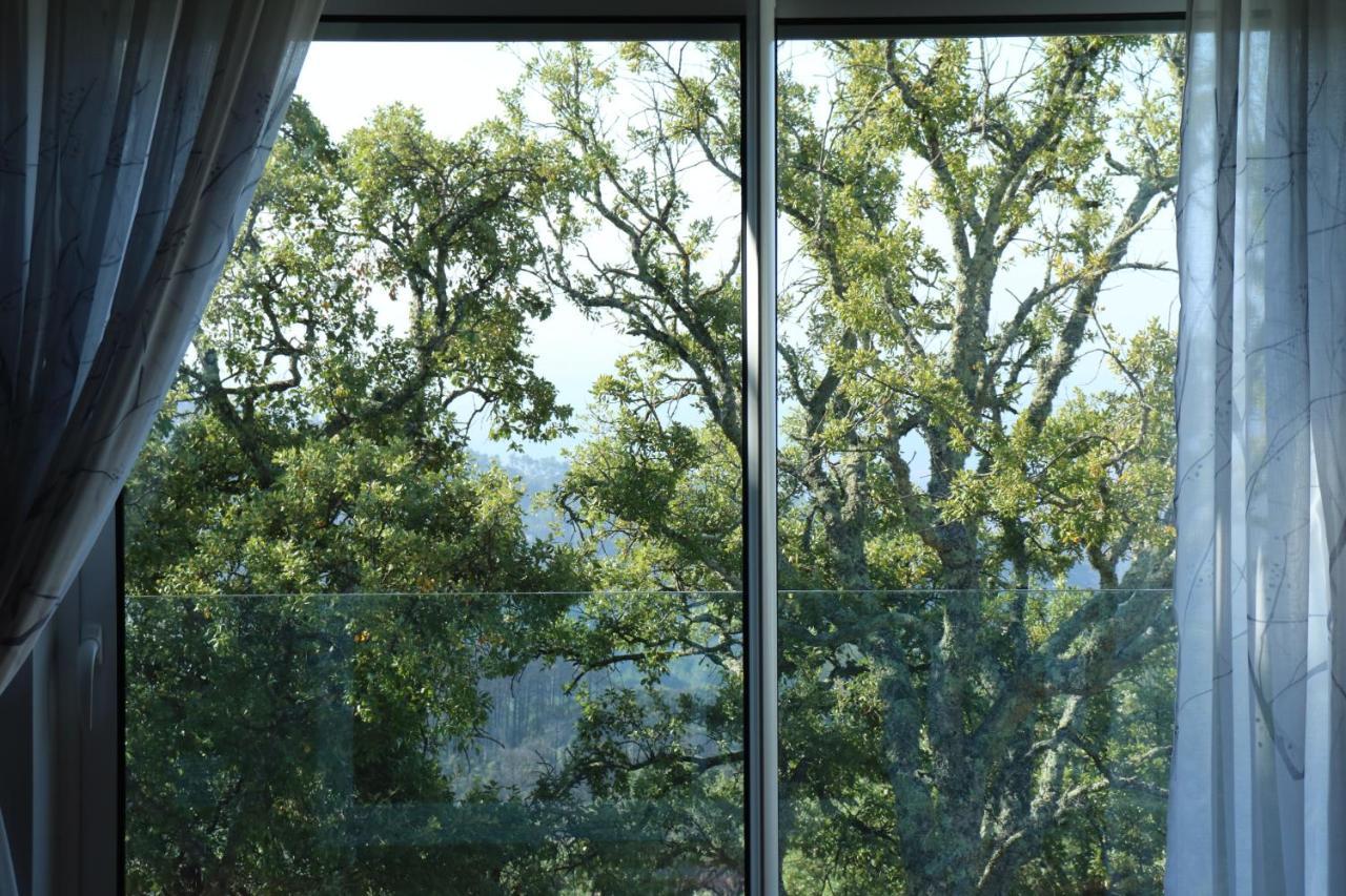 Vilafoia Monchique Exteriér fotografie